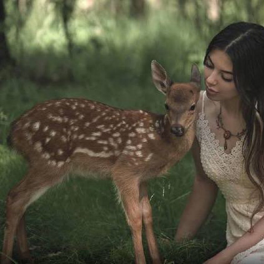 Большой олень