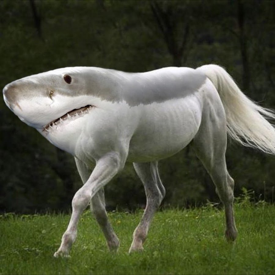 Мадагаскарская руконожка альбинос