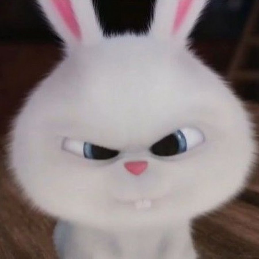 Милый кролик с сердечком