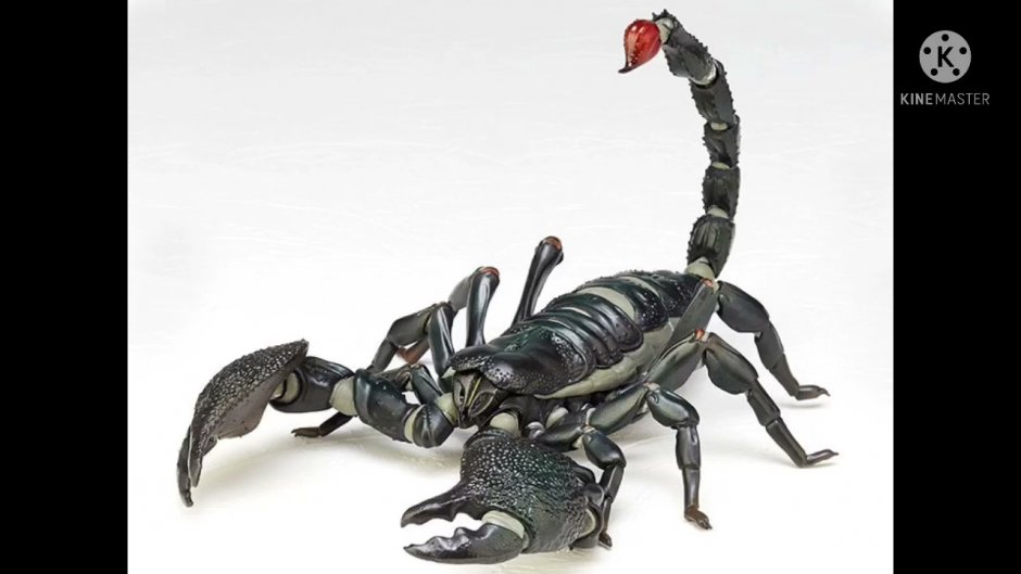 Царь скорпионов монстр