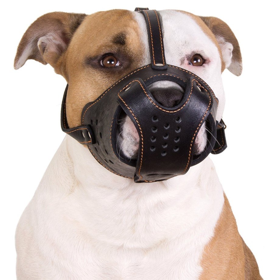 Gappay намордник стафф