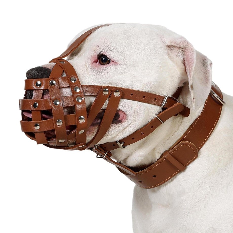 Намордник Баскервиль для булли