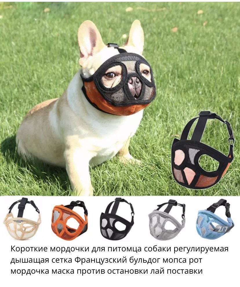 Намордник Баскервиль амстафф