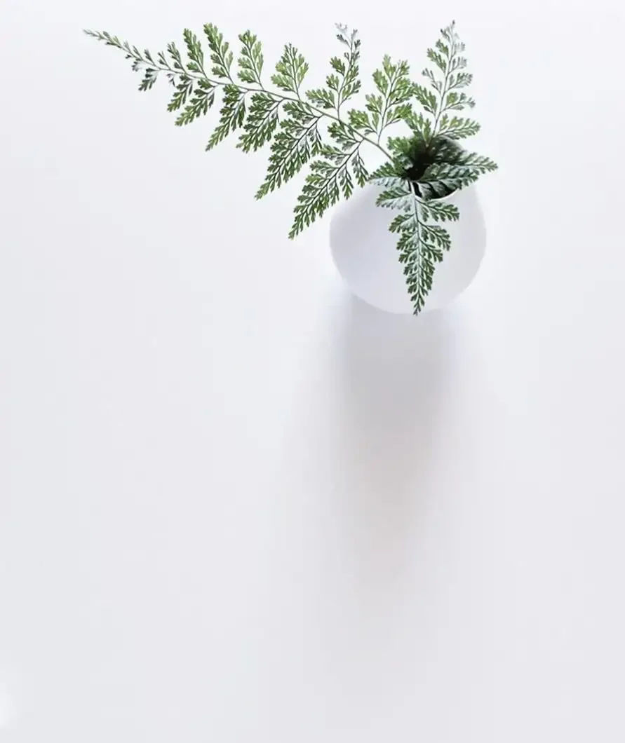 Тропические листья Минимализм