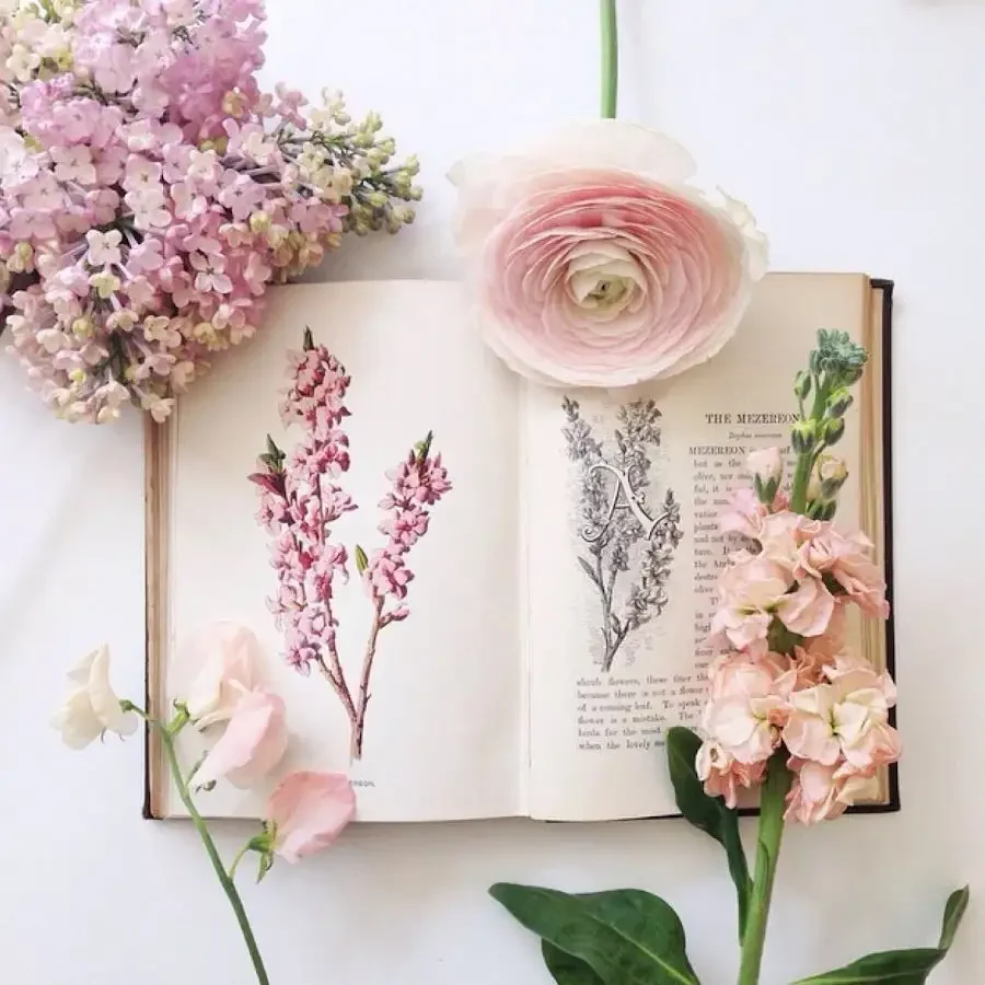 Флэт Лэй цветы