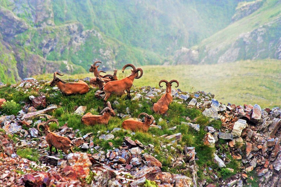 Тляратинский заповедник Дагестан