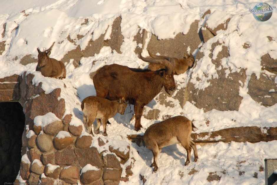 Дагестанский горный тур