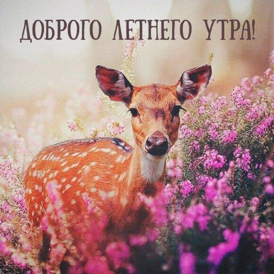 Лань в цветах