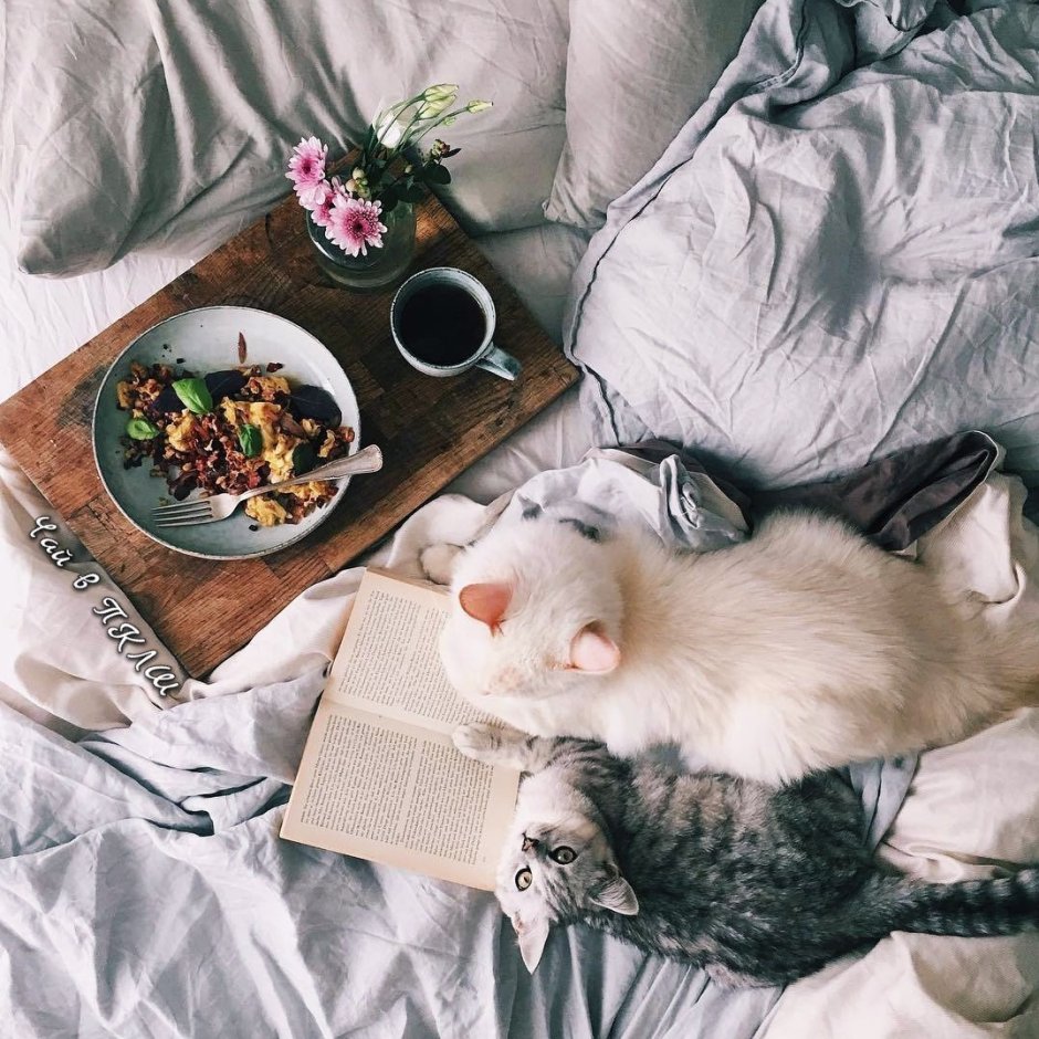 Вадим Трунов белки и птицы