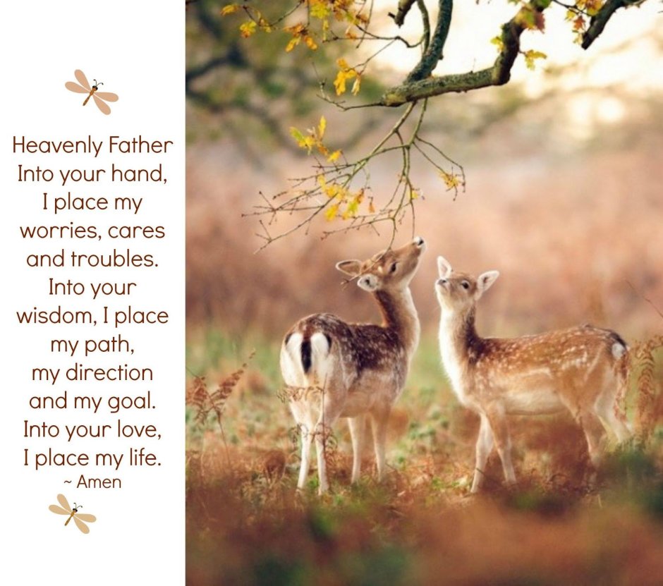 Горностай фон