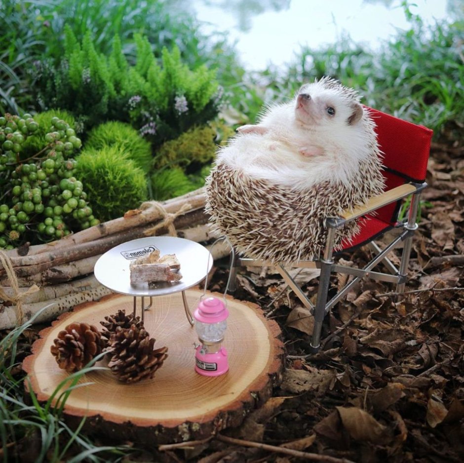 Фотосессия с белочкой