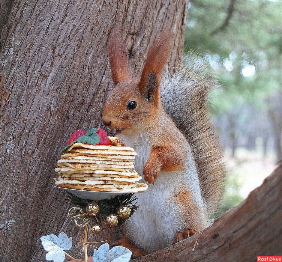 Животные в зимнем лесу