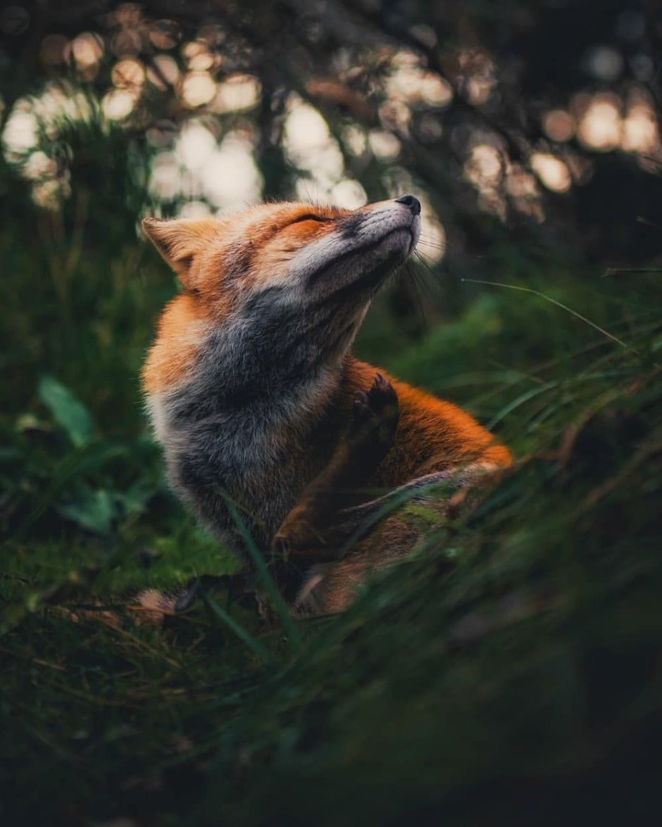 Утро солнце