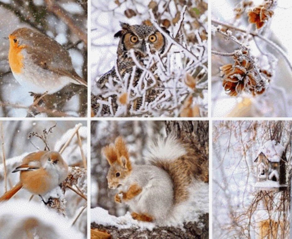 Доброе утро Лисенок