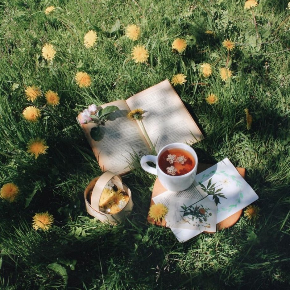 Запасливая белка