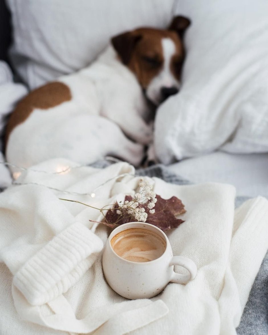 Медведь хозяин тайги