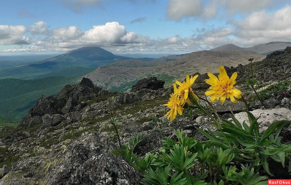 Конжаковский камень заповедник