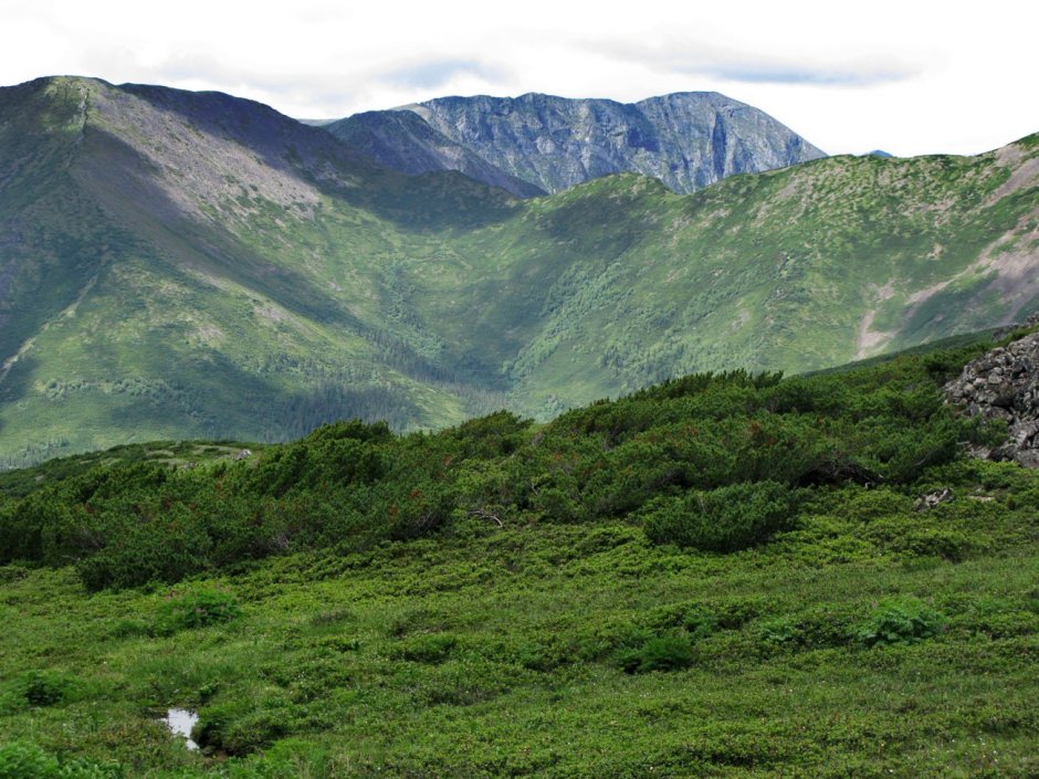 Горный хребет Джугджур