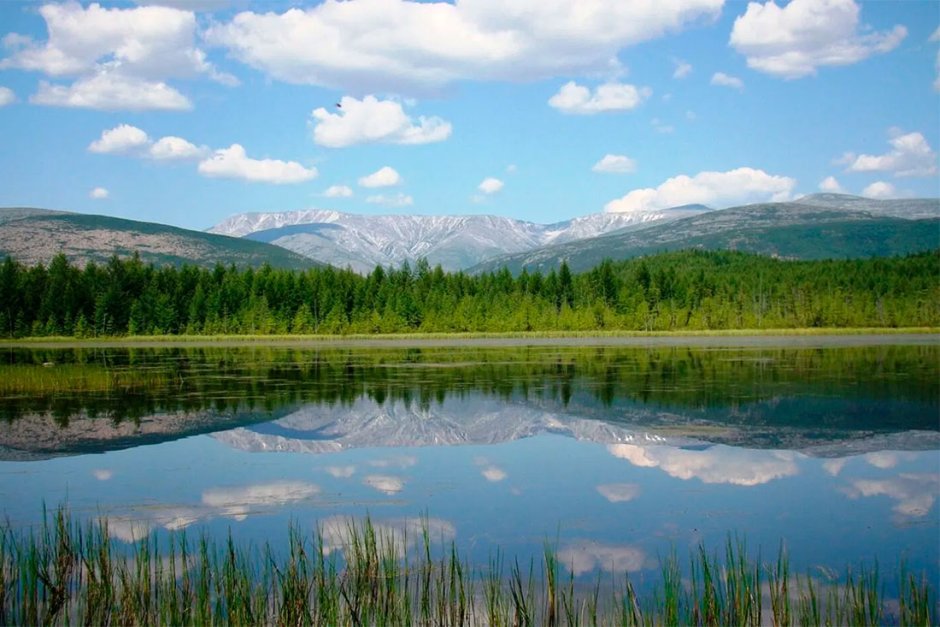 Джугджурский заповедник Хабаровского края