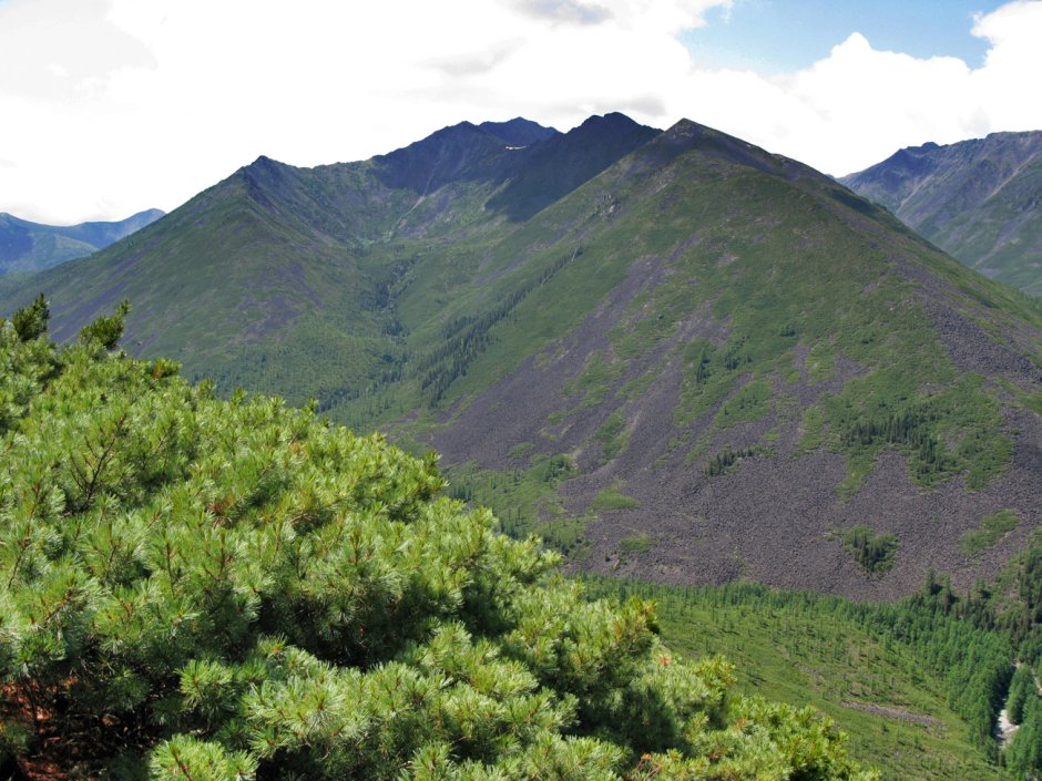 Баджальский заказник