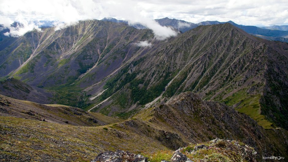 Баджальский заказник Хабаровский край