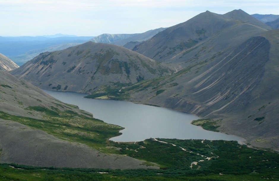 Джугджурский заповедник животные