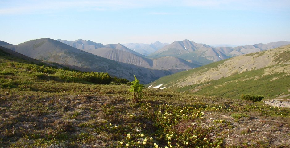 Джугджурский заповедник