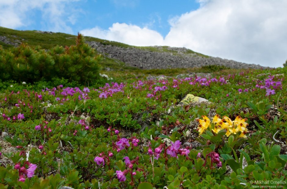 Пик Черского озеро сердце