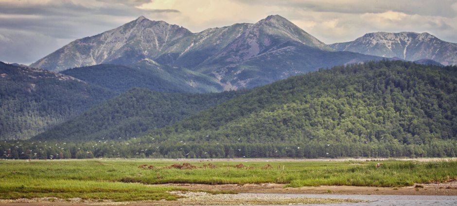 Джугджурский заповедник