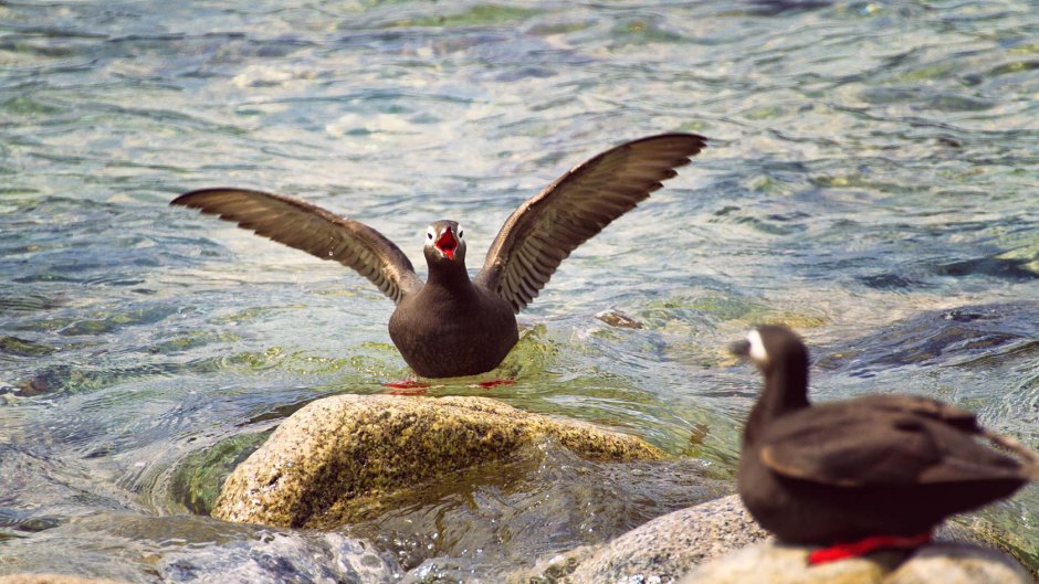 Джугджурский заповедник