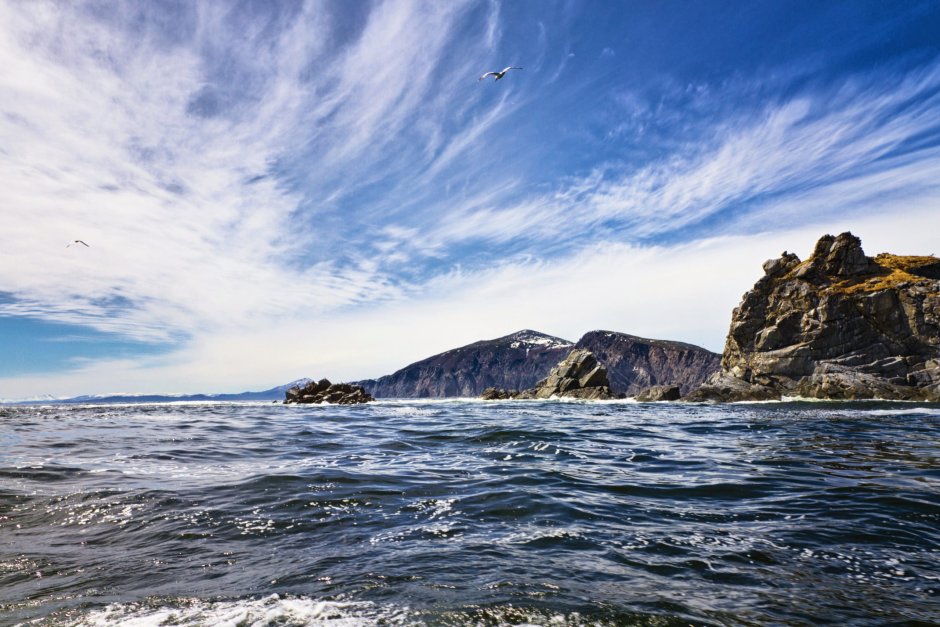 Фауна Джугджурского заповедника