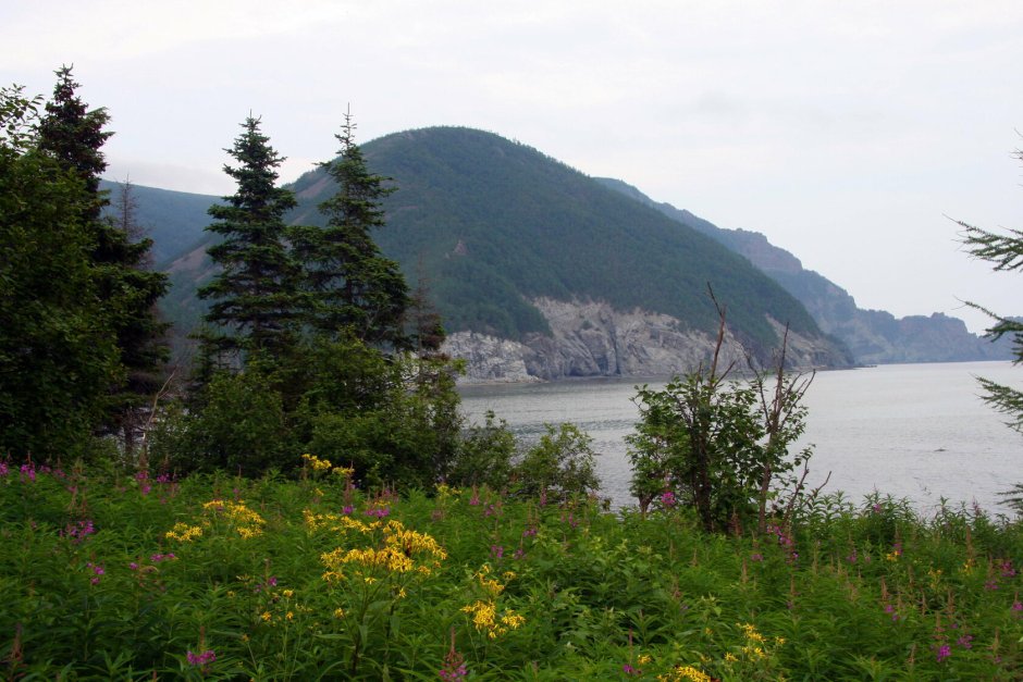 ФГБУ «государственный природный заповедник «Джугджурский»