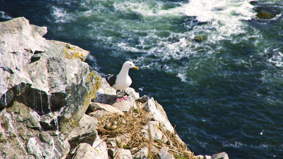 Джугджурский хребет