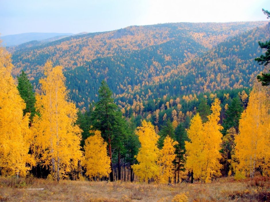 Природа Забайкальского края осенью