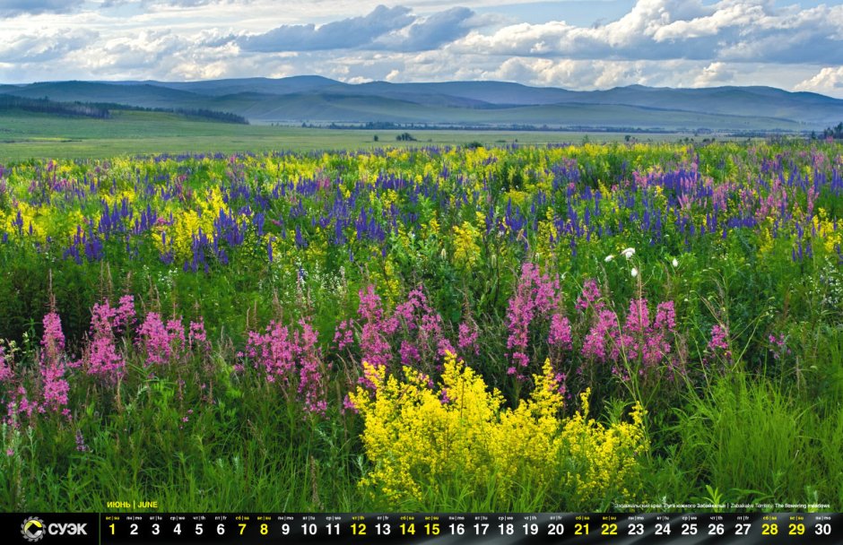 Забайкалье природа Забайкалья Россия