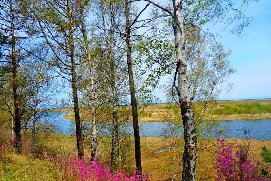 Забайкальский край лето