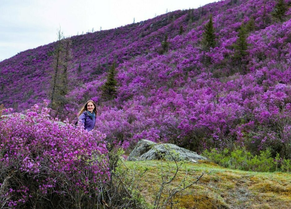Природа Забайкальского края Чита