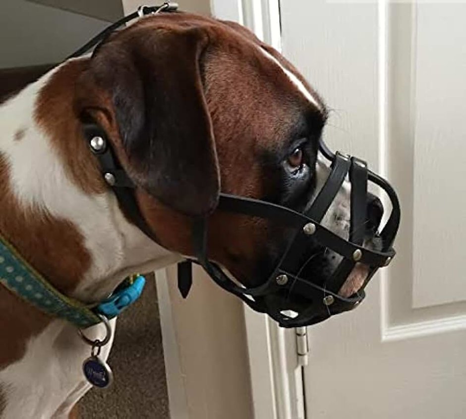 Намордник Гаппай для собак