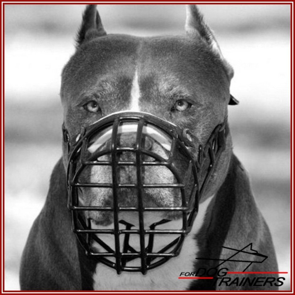 Намордник для собаки МОПСА