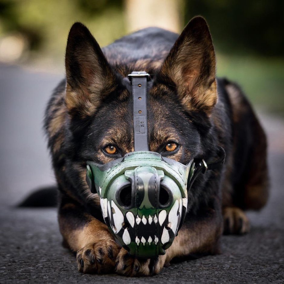 Намордник Muzzle Flex, силикон, l–XL,
