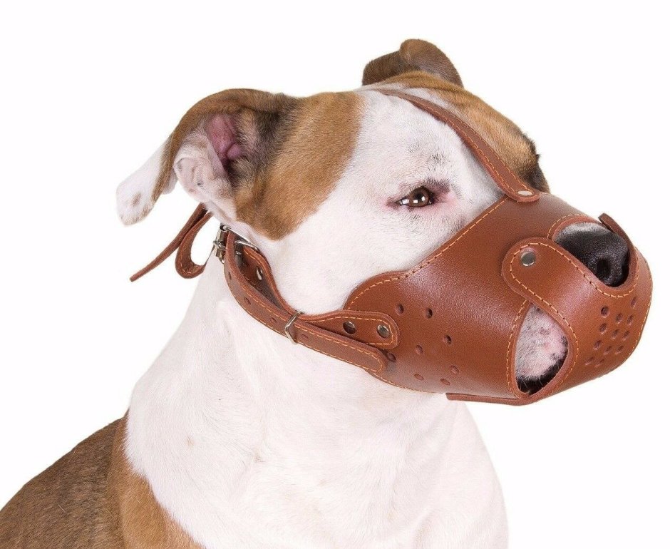 Намордник маска Майло