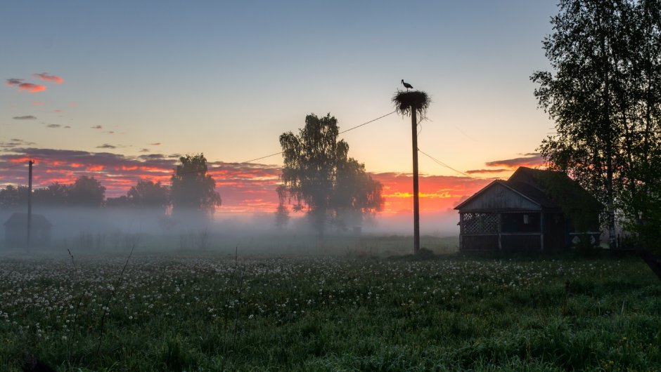 Рассвет Заря деревня