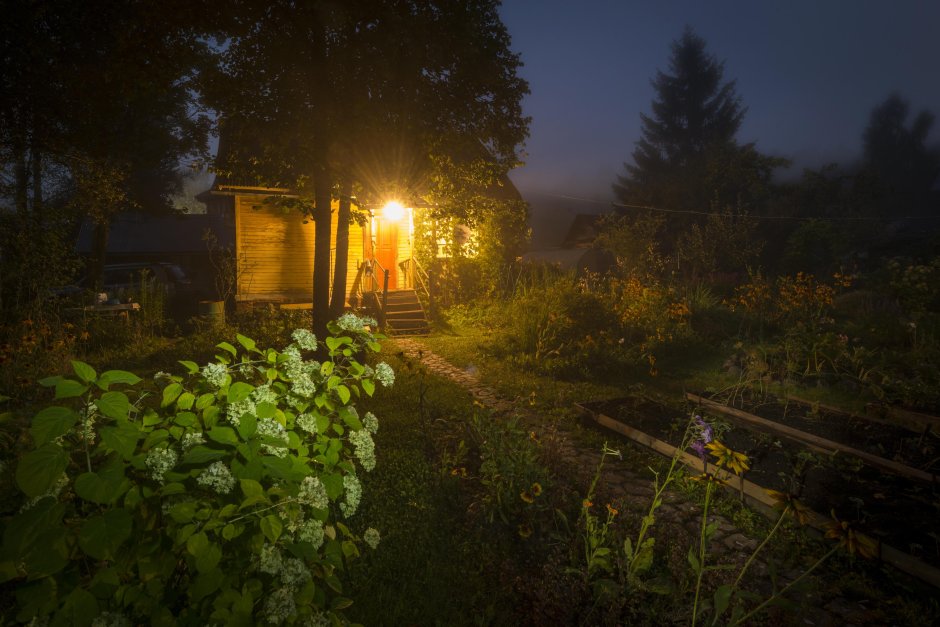 Вечер на даче