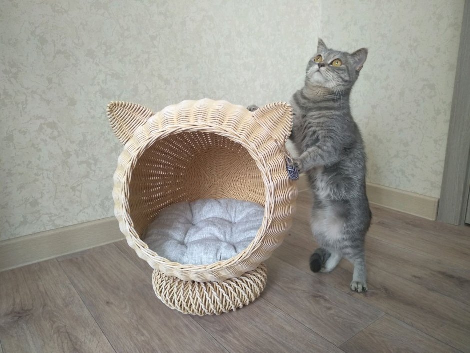 Плетеная лежанка для кошки