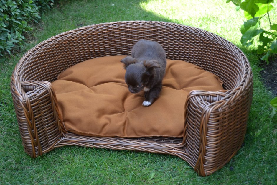 Плетёная лежанка для собаки