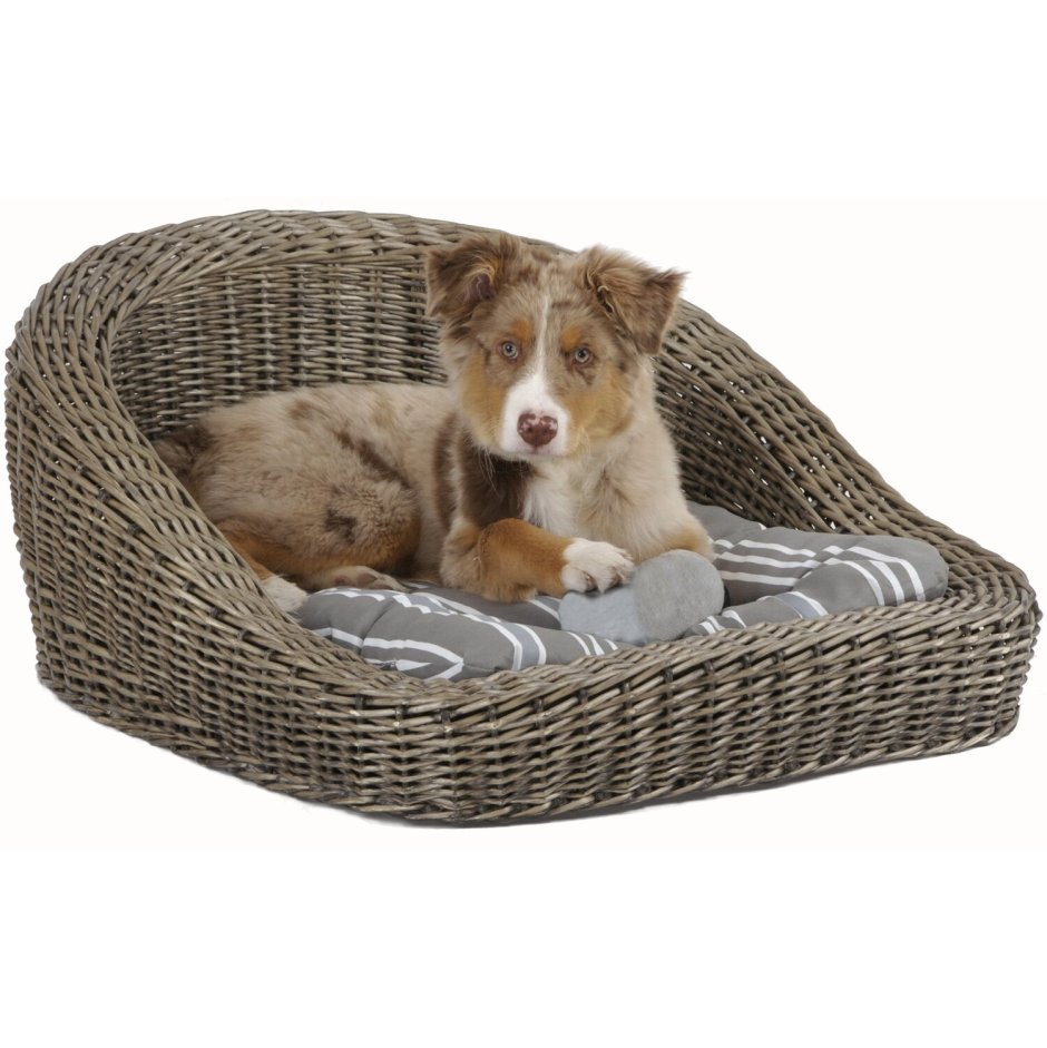 Плетеный домик для собаки