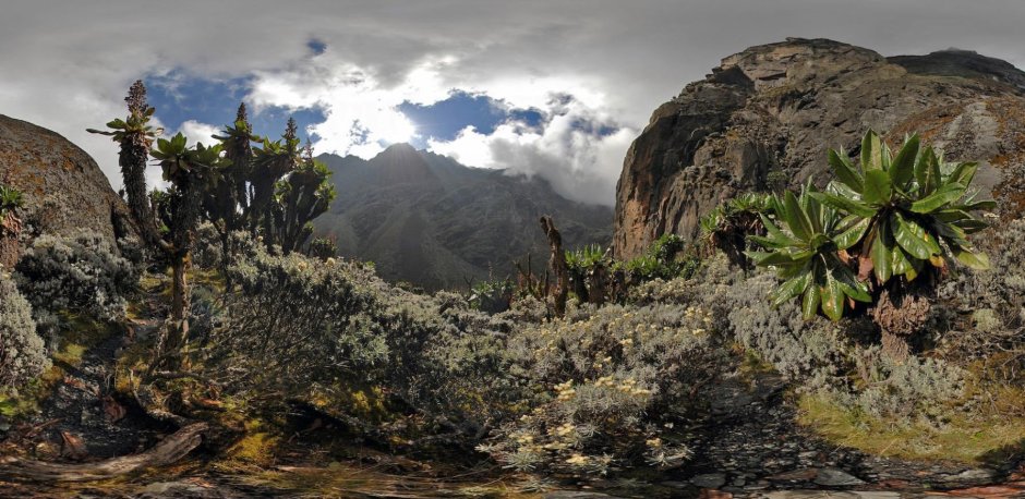 Уганда горы Рувензори