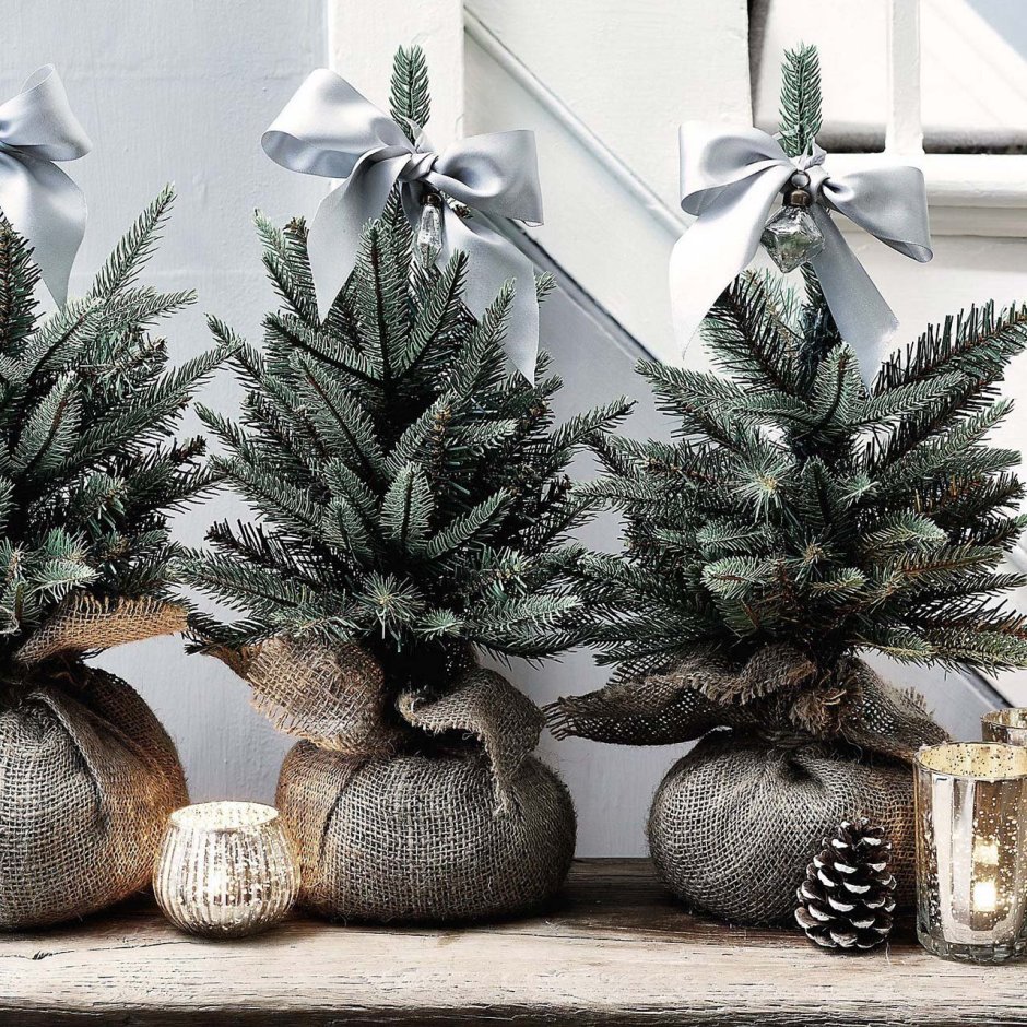 Елка из нобилиса