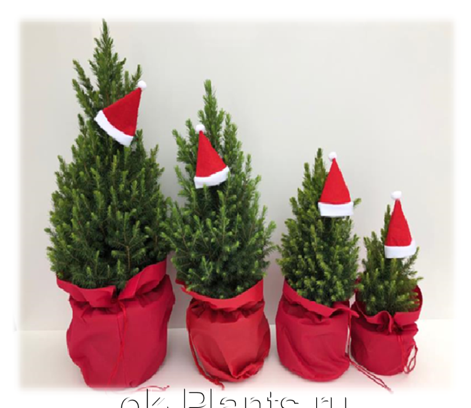 Стильная Новогодняя елка