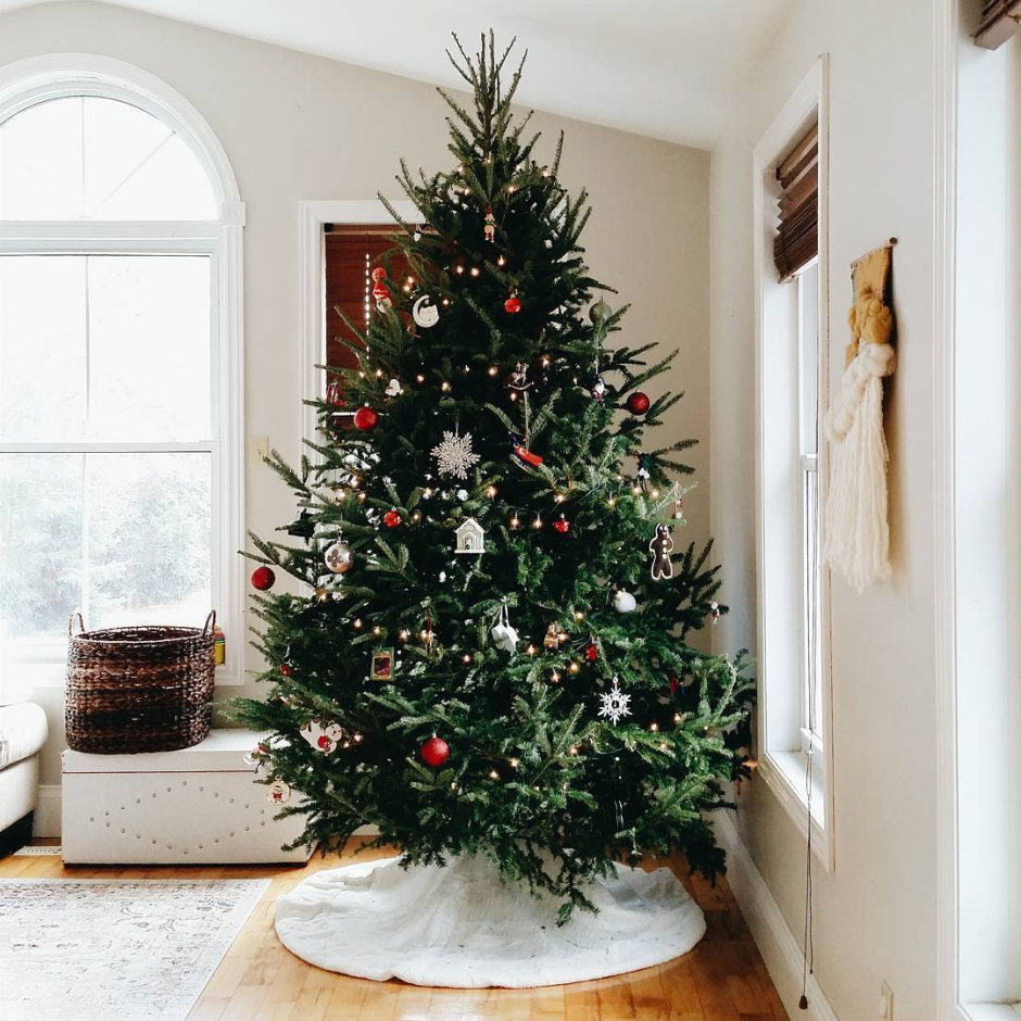 Топиарий елка